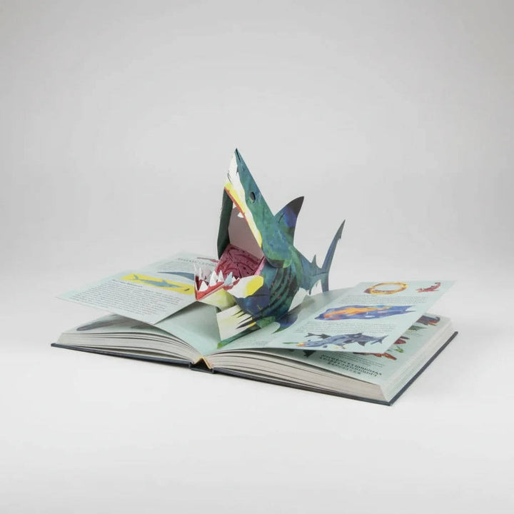 Childrens 3D Pop-Up Book Educational Dinosaur Design