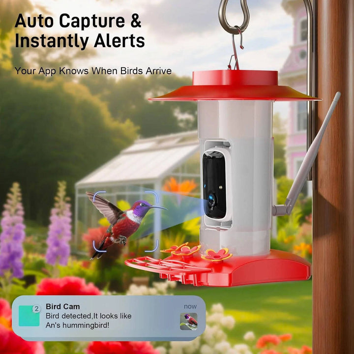 Outdoor Hummingbird Feeder with 21oz Capacity HD 2K Camera Solar
