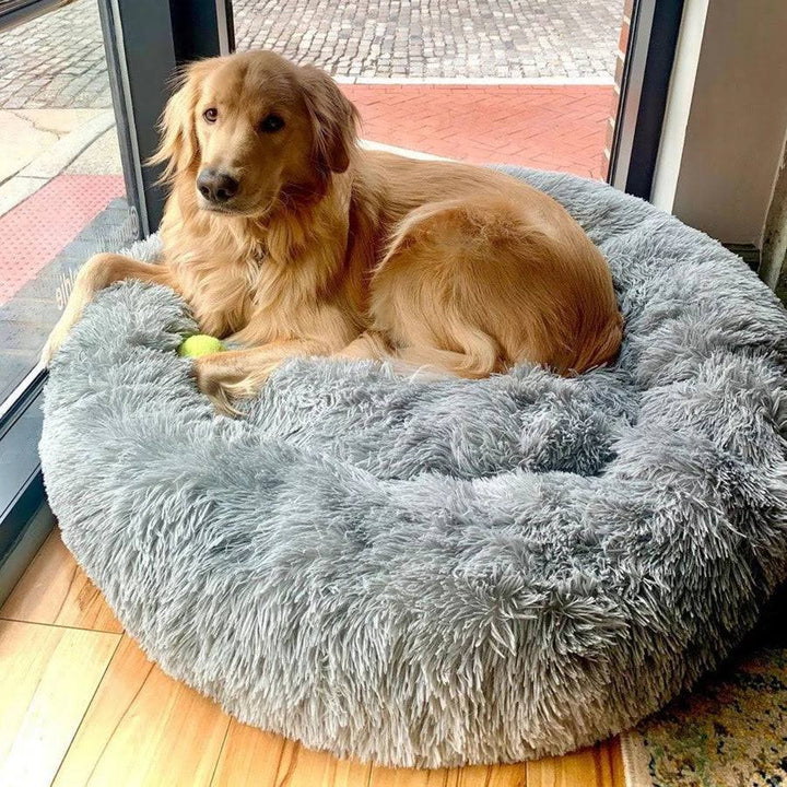 Pet Dog Bed with Calming Plush Material
