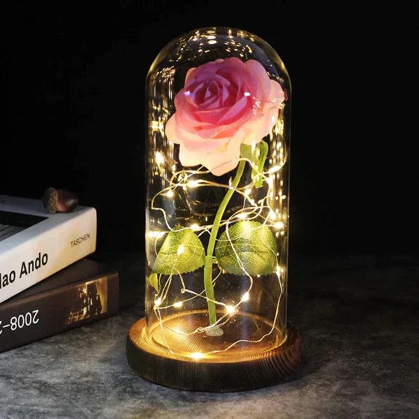 LED Dome Display with Battery-Powered Preserved Item