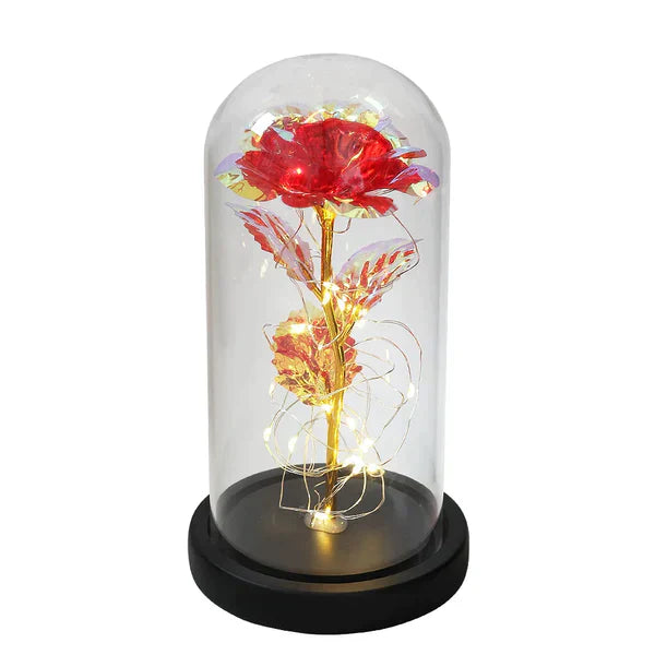LED Dome Display with Battery-Powered Preserved Item