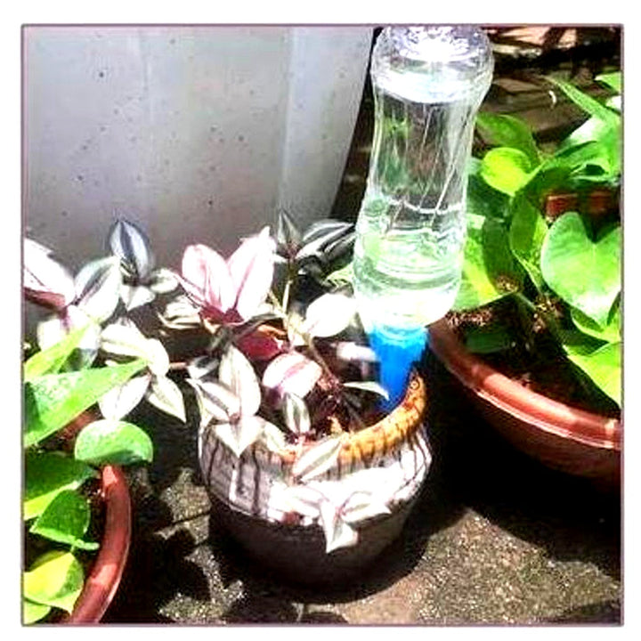 Plant Watering Spikes Adjustable Flow Valve Compatible Bottle Set