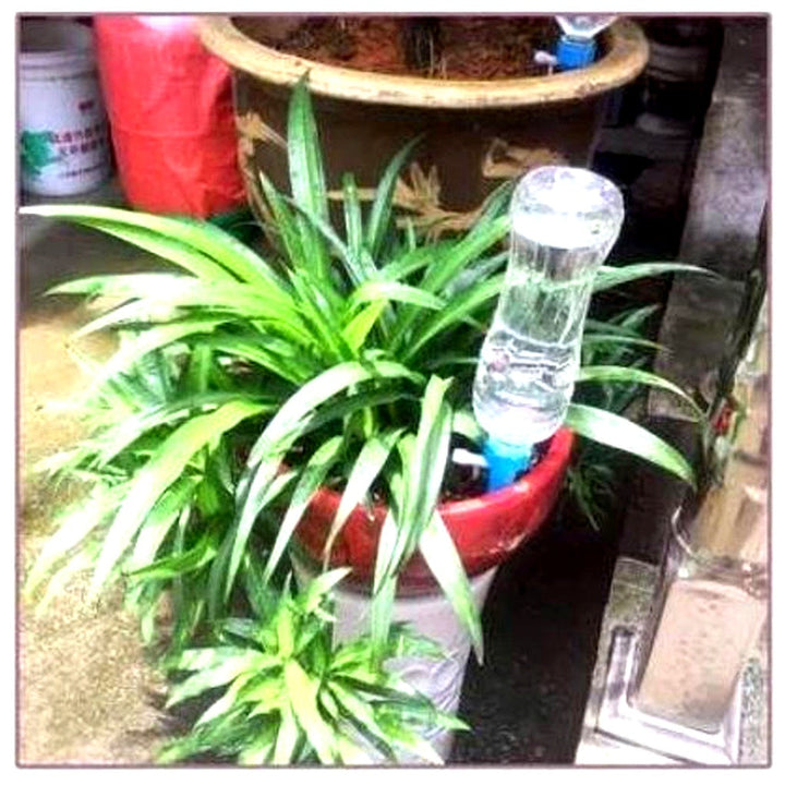 Plant Watering Spikes Adjustable Flow Valve Compatible Bottle Set