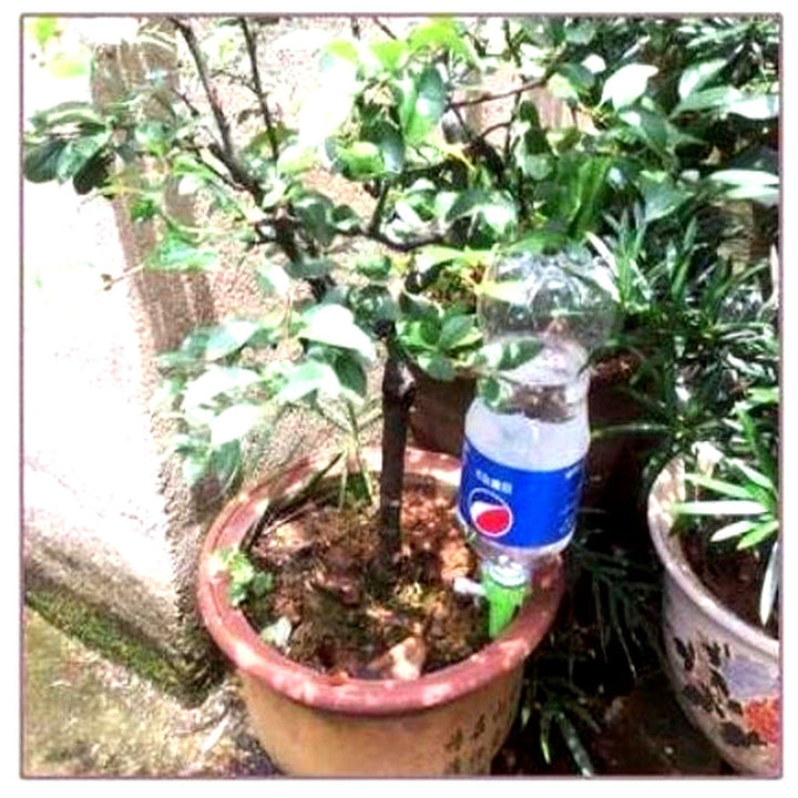 Plant Watering Spikes Adjustable Flow Valve Compatible Bottle Set