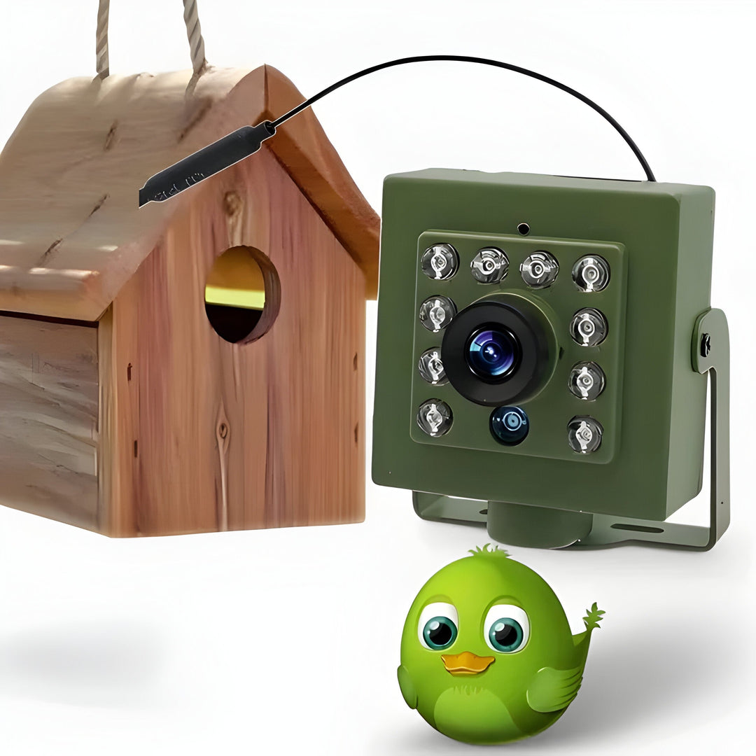 Wireless Bird Nest Camera with Remote Viewing and Monitoring