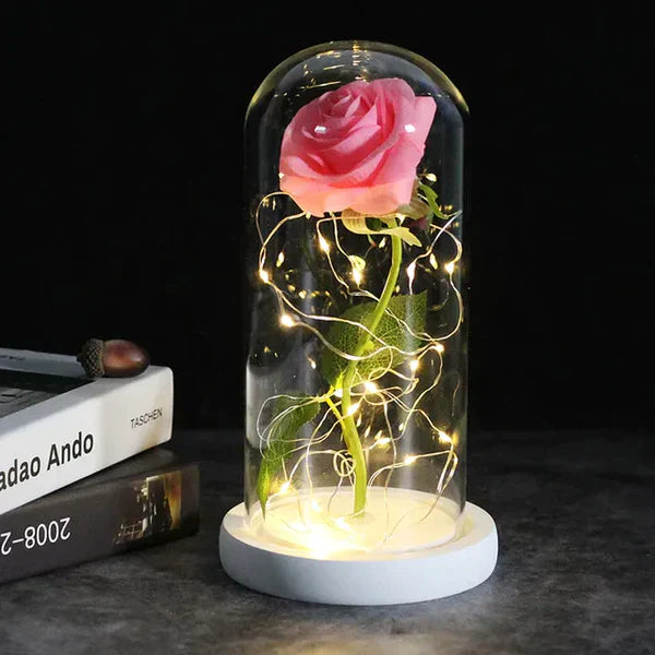 LED Dome Display with Battery-Powered Preserved Item