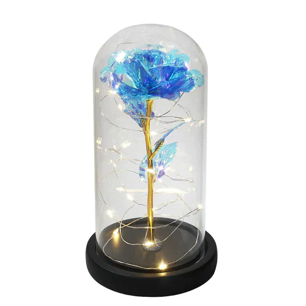 LED Dome Display with Battery-Powered Preserved Item