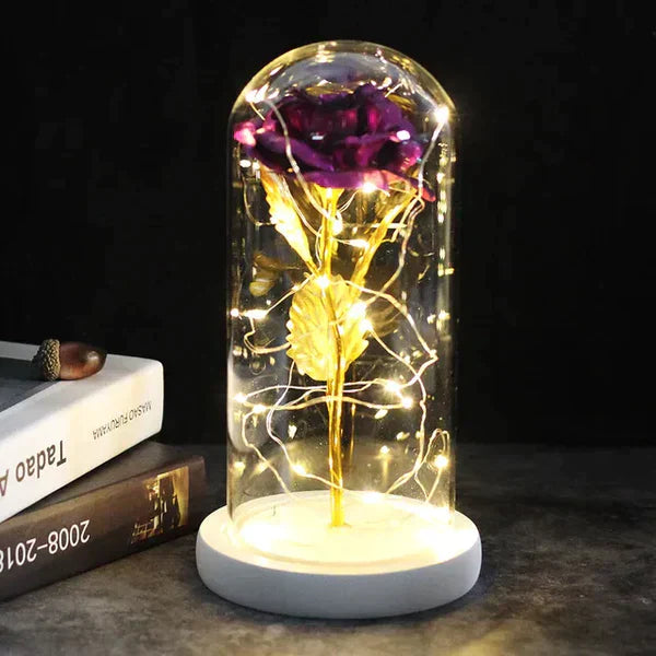 LED Dome Display with Battery-Powered Preserved Item
