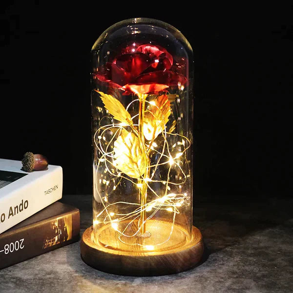 LED Dome Display with Battery-Powered Preserved Item