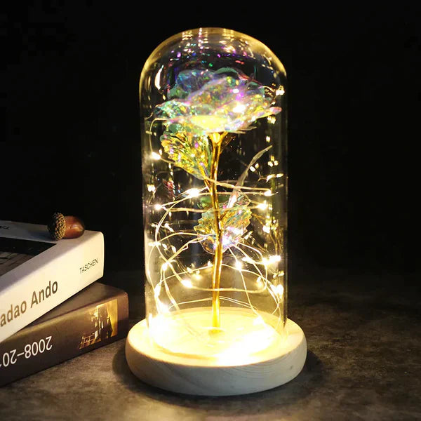 LED Dome Display with Battery-Powered Preserved Item