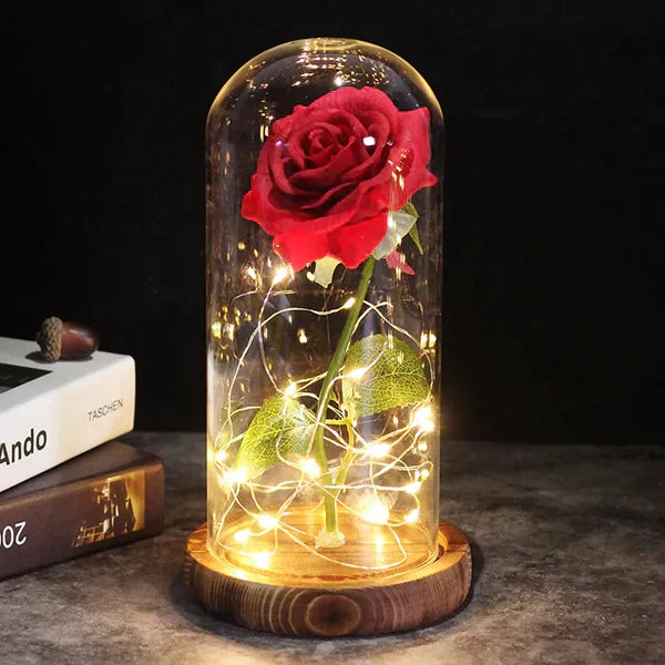 LED Dome Display with Battery-Powered Preserved Item
