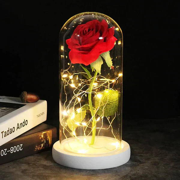 LED Dome Display with Battery-Powered Preserved Item