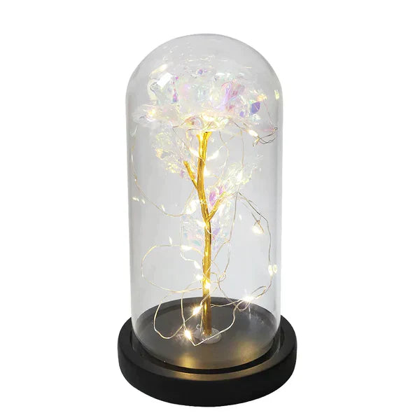 LED Dome Display with Battery-Powered Preserved Item