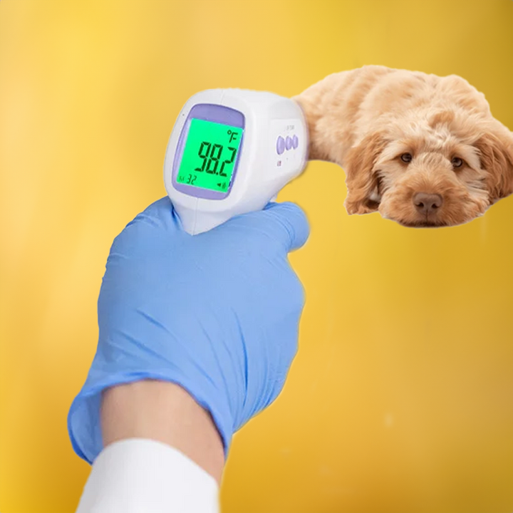 Pet Digital Thermometer No-Contact One-Click Reading