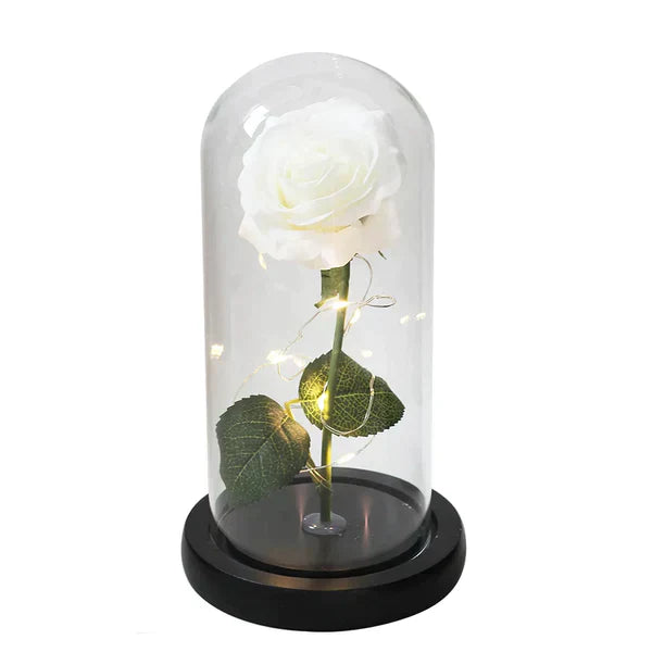 LED Dome Display with Battery-Powered Preserved Item