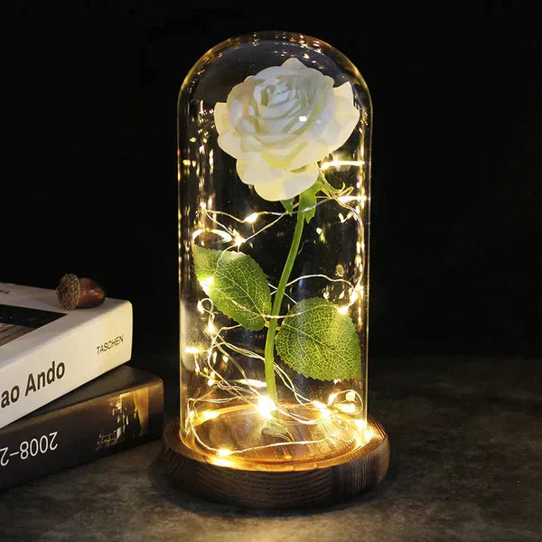 LED Dome Display with Battery-Powered Preserved Item