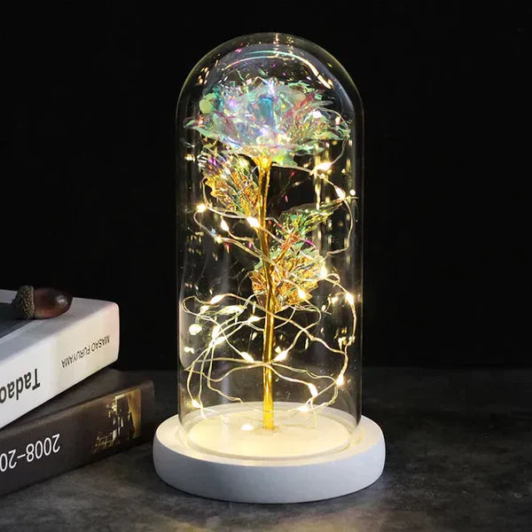 LED Dome Display with Battery-Powered Preserved Item