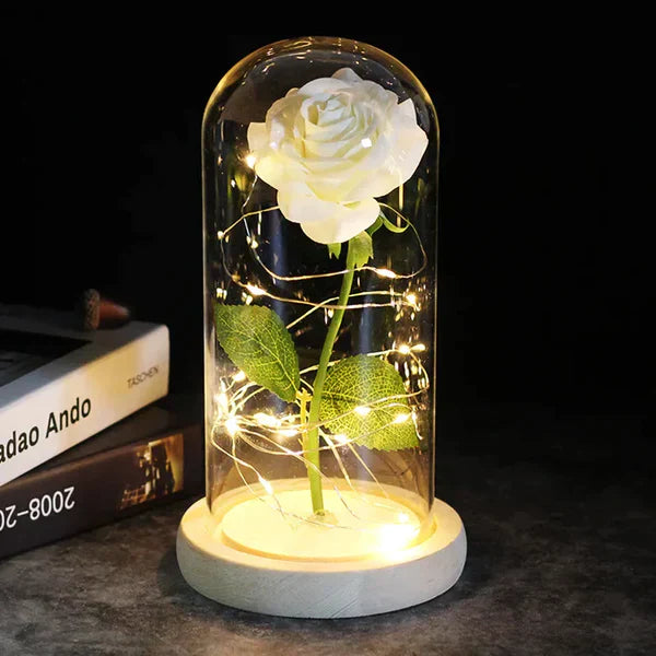 LED Dome Display with Battery-Powered Preserved Item